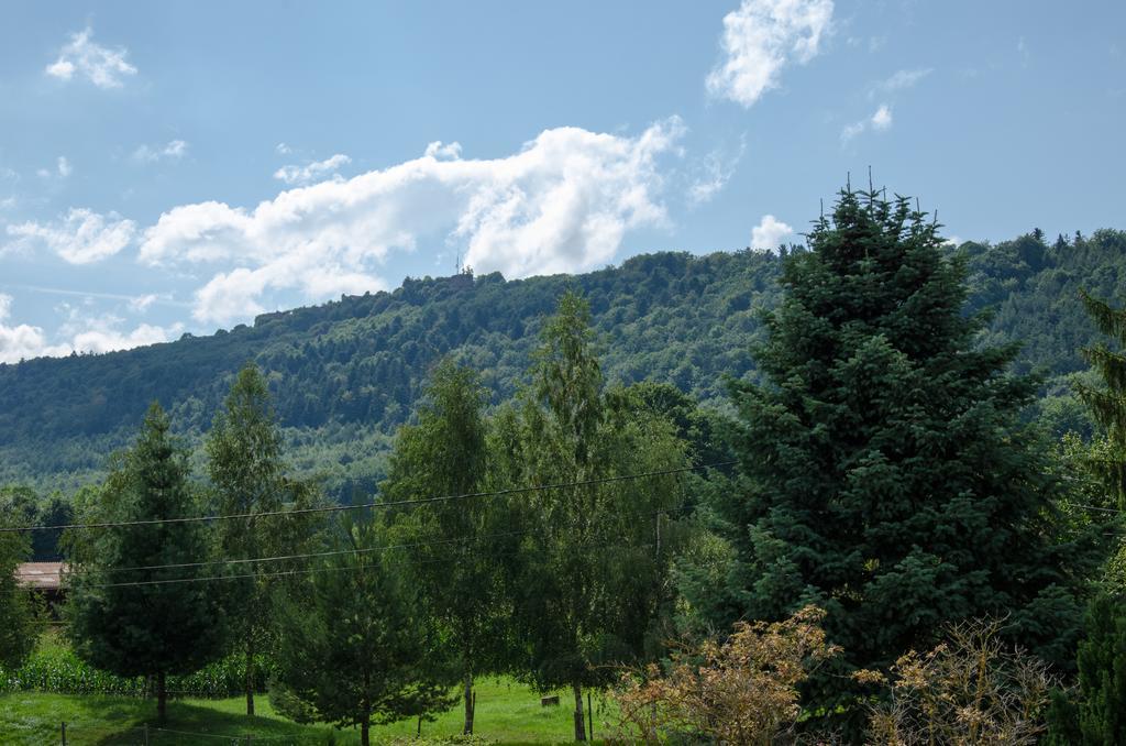 Meuble De Tourisme 3* Daire Saverne Oda fotoğraf